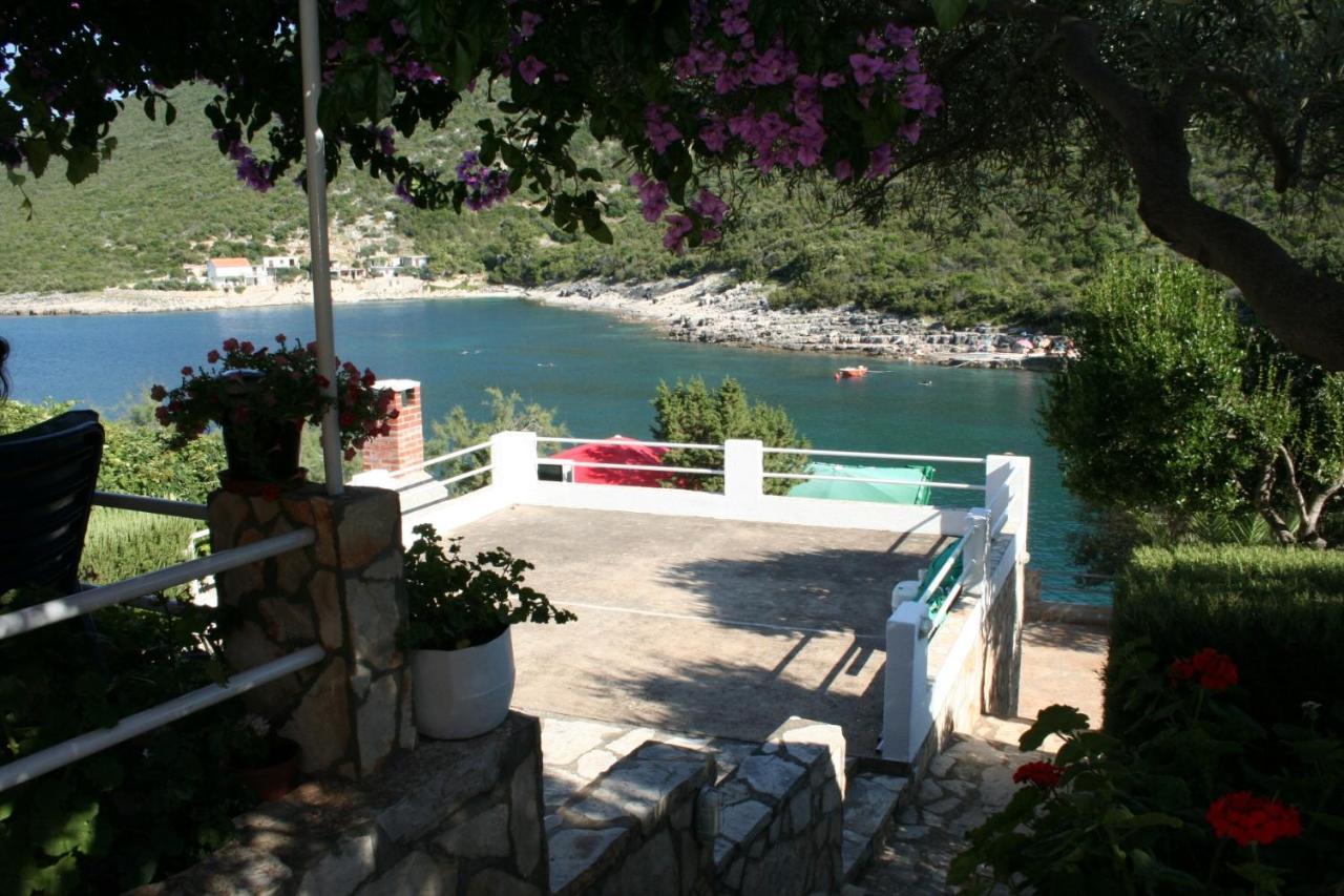 Apartment Zarace - Gdinj 4598A Bagian luar foto