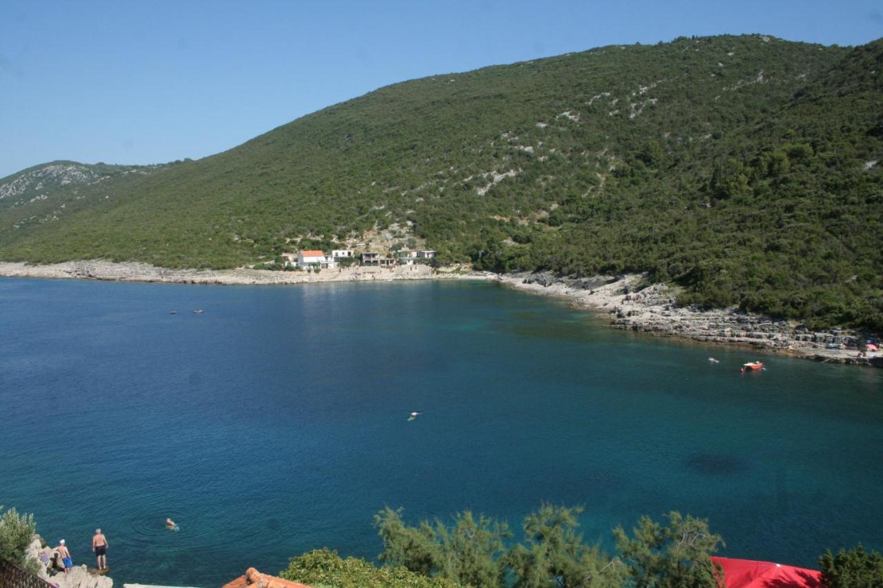 Apartment Zarace - Gdinj 4598A Bagian luar foto